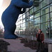 Jason Means Photo 16