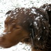 Alicia Shook Photo 13