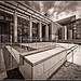 Stephen Ross Photo 56