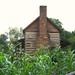 Robert Wilkes Photo 26