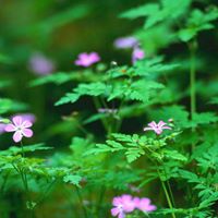 Mary Stoltz Photo 32