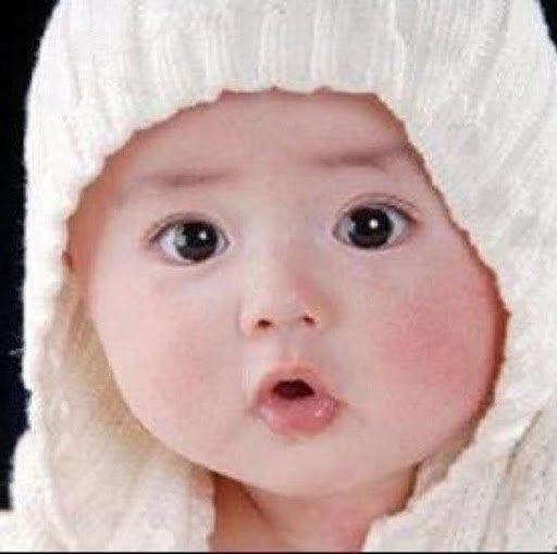 Faisal Khurshid Photo 24