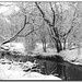 Lisa Winters Photo 7