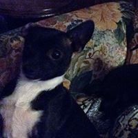 Terri Green Photo 7