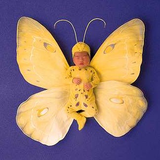 Teresa Wolf Photo 29