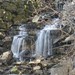 Walter Bruce Photo 34