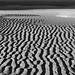 Jeffrey Ripple Photo 8
