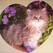 Nancy Matthews Photo 17