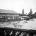 David Lucey Photo 8