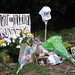 Debra Travis Photo 19