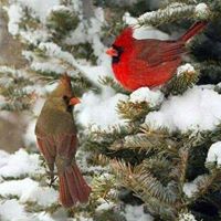Judy Rayburn Photo 16
