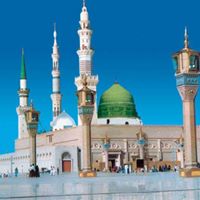 Saeed Mustafa Photo 7