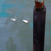 Christine Gendron Photo 12
