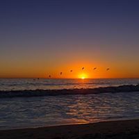 Sharon Scarborough Photo 9