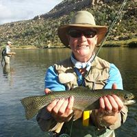 Judy Camp Photo 5