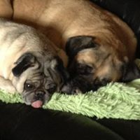 Debra Fortin Photo 16