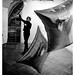 Harry Finkelstein Photo 6