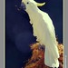 Barbara Goldman Photo 34