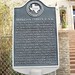 Terry Burleson Photo 12