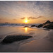 Paul Donnelly Photo 37