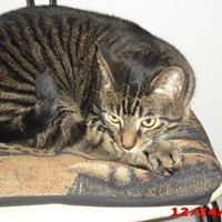 Annette Ackerman Photo 16