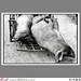 Ho Chung Photo 14