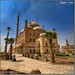 Ali Muhammad Photo 28