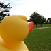 Kimberly Park Photo 19
