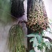Dung Dinh Photo 18