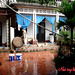 Hong Hoang Photo 33