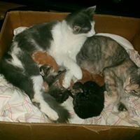 Jennifer Shultz Photo 17