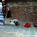 Jane Heath Photo 15