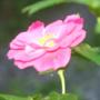 Heather Longley Photo 7