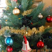 Dale Mcclain Photo 11