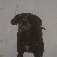Reggie Kennedy Photo 13