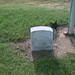 John Brookman Photo 11