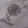 Colleen Mills Photo 22