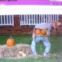 Rhonda Conklin Photo 10