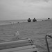 Steve Jacobs Photo 27