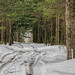 Robert Frost Photo 12