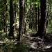 John Tait Photo 37