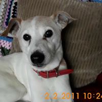 Frankie Matthews Photo 13