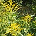 Bill Hamby Photo 18