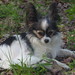Martha Weinstein Photo 7