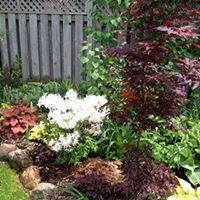 Terrie Robinson Photo 8