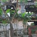 Tri Truong Photo 16