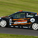 Steven Gaffney Photo 20