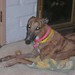 Laverne Foster Photo 17