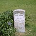 William Beck Photo 16