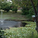 Roger Cooley Photo 11